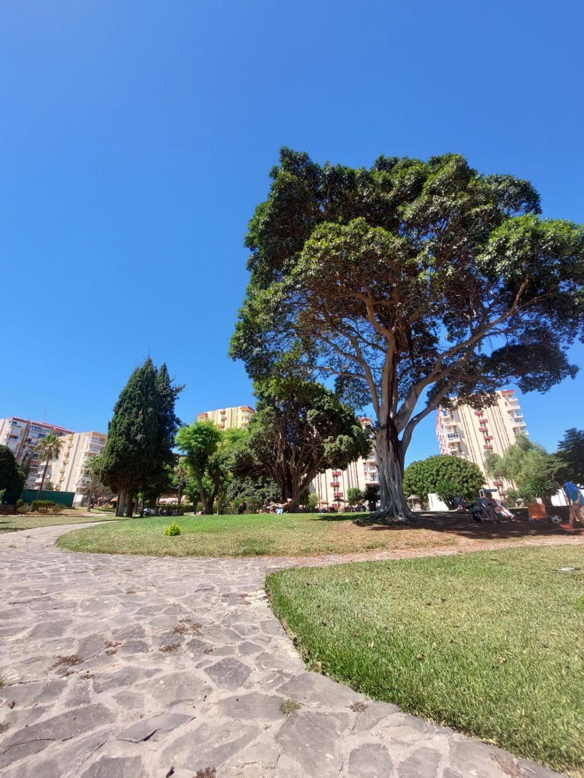 Studio Vista Costa Del Sol Benalmádena Εξωτερικό φωτογραφία